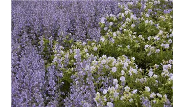 Gartenbaumschule Becker