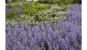 Gartenbaumschule Becker