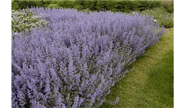 Gartenbaumschule Becker