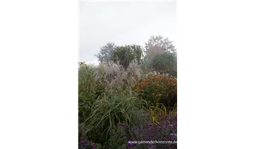 Gartenbaumschule Becker