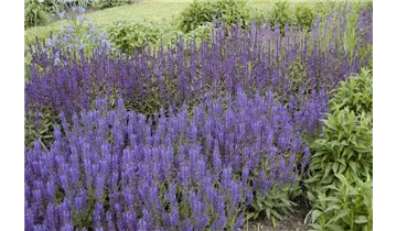 Gartenbaumschule Becker