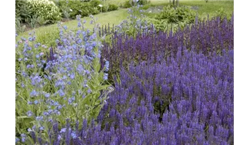 Gartenbaumschule Becker