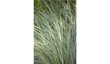 Gartenbaumschule Becker