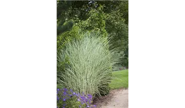 Gartenbaumschule Becker