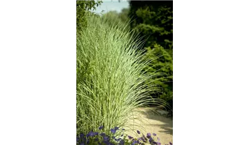 Gartenbaumschule Becker