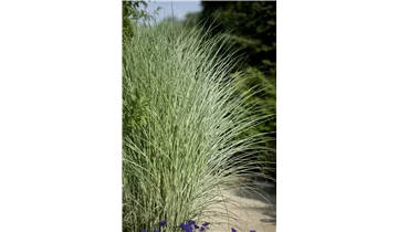 Gartenbaumschule Becker