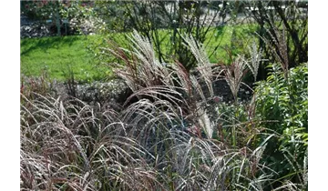 Gartenbaumschule Becker