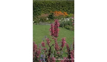 Gartenbaumschule Becker