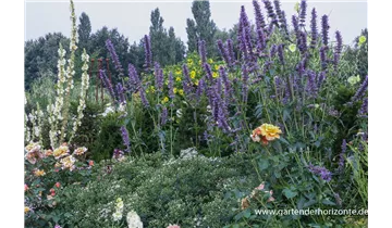 Gartenbaumschule Becker