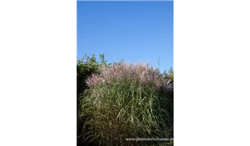 Gartenbaumschule Becker