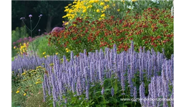Gartenbaumschule Becker