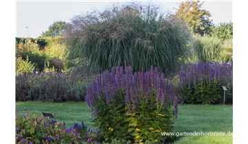 Gartenbaumschule Becker