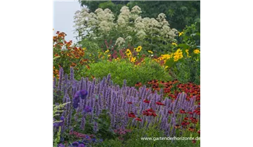Gartenbaumschule Becker