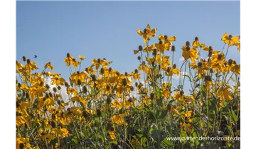 Gartenbaumschule Becker