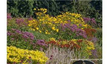 Gartenbaumschule Becker