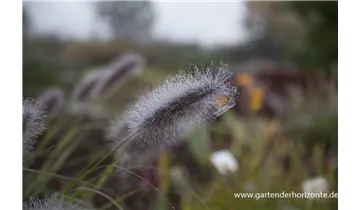 Gartenbaumschule Becker
