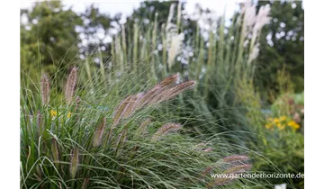 Gartenbaumschule Becker
