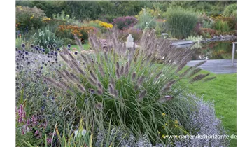 Gartenbaumschule Becker