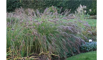 Gartenbaumschule Becker