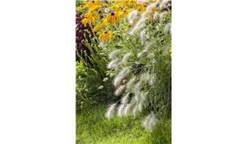 Gartenbaumschule Becker