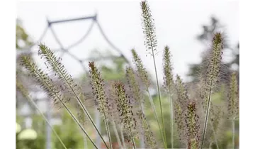 Gartenbaumschule Becker