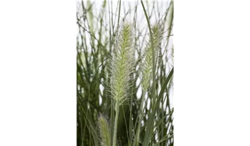 Gartenbaumschule Becker