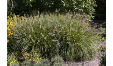 Gartenbaumschule Becker