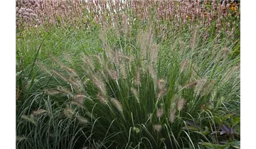 Gartenbaumschule Becker