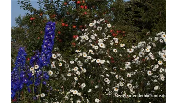 Gartenbaumschule Becker