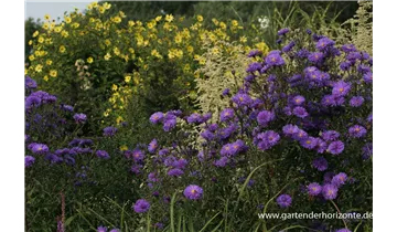 Gartenbaumschule Becker
