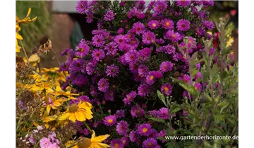 Gartenbaumschule Becker