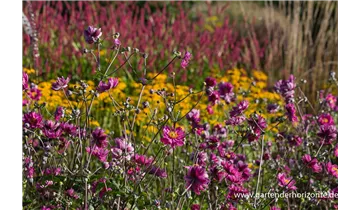 Gartenbaumschule Becker