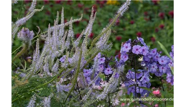 Gartenbaumschule Becker
