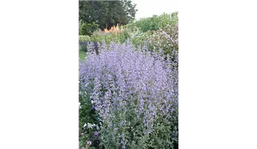 Gartenbaumschule Becker