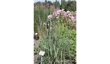 Gartenbaumschule Becker