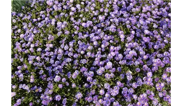 Gartenbaumschule Becker