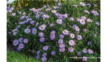 Gartenbaumschule Becker