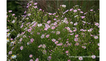 Gartenbaumschule Becker