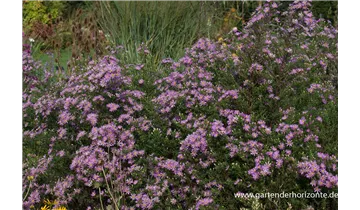 Gartenbaumschule Becker