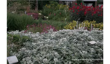 Gartenbaumschule Becker