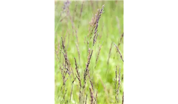 Gartenbaumschule Becker