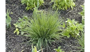 Gartenbaumschule Becker