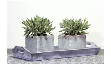 Gartenbaumschule Becker