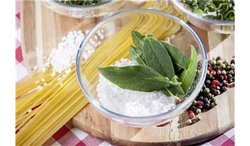 Gartenbaumschule Becker