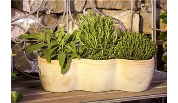 Gartenbaumschule Becker