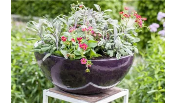 Gartenbaumschule Becker