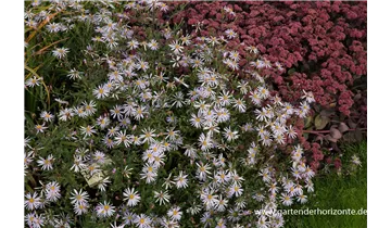 Gartenbaumschule Becker