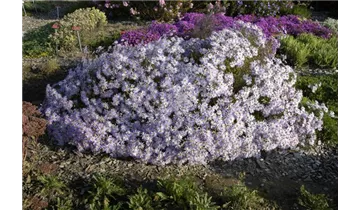 Gartenbaumschule Becker