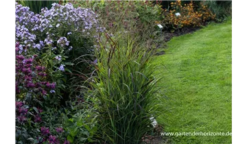 Gartenbaumschule Becker