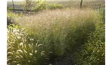 Gartenbaumschule Becker